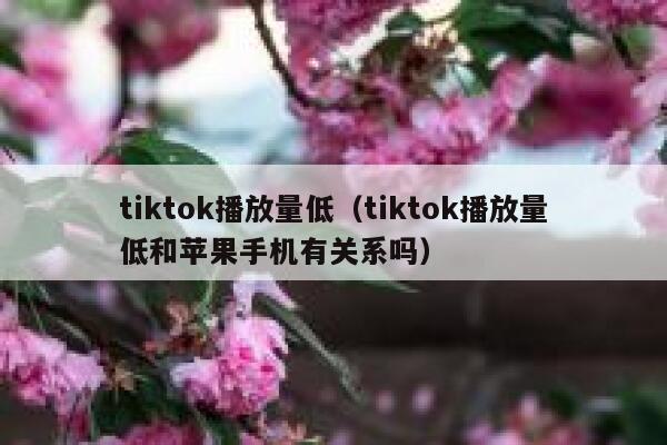 tiktok播放量低（tiktok播放量低和苹果手机有关系吗） 第1张
