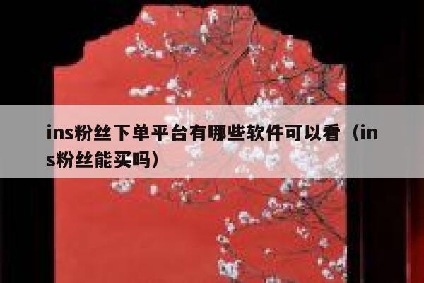 ins粉丝下单平台有哪些软件可以看（ins粉丝能买吗） 第1张