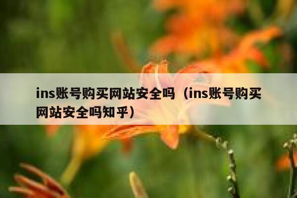 ins账号购买网站安全吗（ins账号购买网站安全吗知乎） 第1张