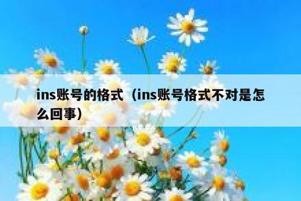 ins账号的格式（ins账号格式不对是怎么回事） 第1张