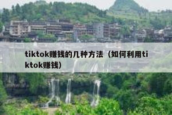 tiktok赚钱的几种方法（如何利用tiktok赚钱） 第1张