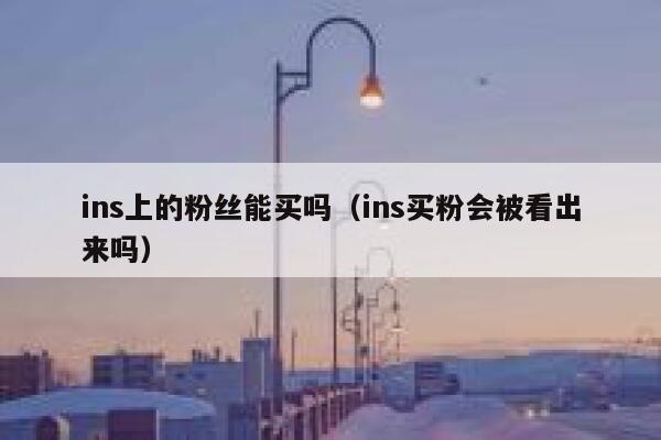 ins上的粉丝能买吗（ins买粉会被看出来吗） 第1张