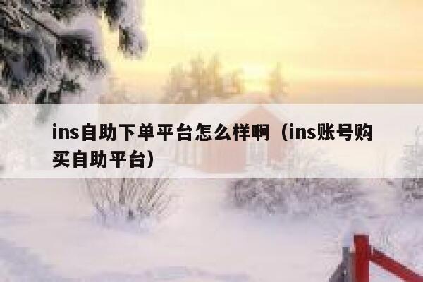 ins自助下单平台怎么样啊（ins账号购买自助平台） 第1张
