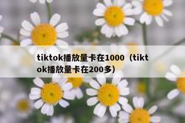 tiktok播放量卡在1000（tiktok播放量卡在200多） 第1张