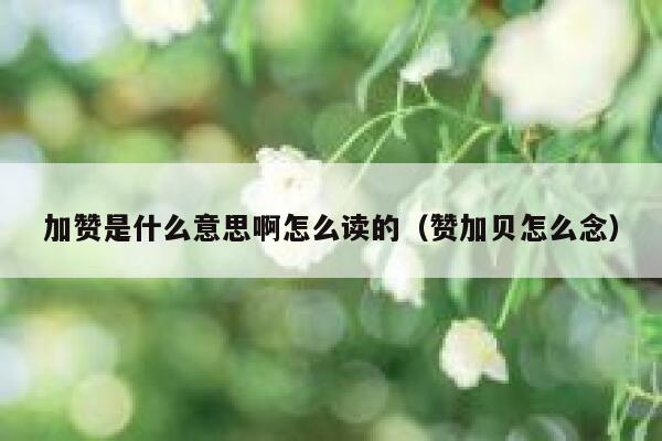 加赞是什么意思啊怎么读的（赞加贝怎么念） 第1张