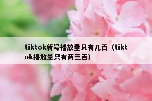 tiktok新号播放量只有几百（tiktok播放量只有两三百） 第1张