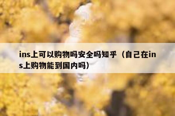 ins上可以购物吗安全吗知乎（自己在ins上购物能到国内吗） 第1张