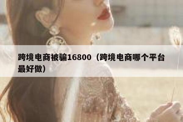 跨境电商被骗16800（跨境电商哪个平台最好做） 第1张
