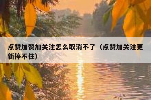 点赞加赞加关注怎么取消不了（点赞加关注更新停不住） 第1张
