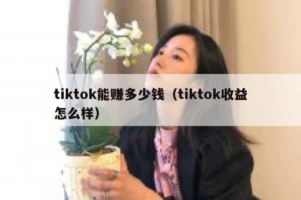 tiktok能赚多少钱（tiktok收益怎么样） 第1张