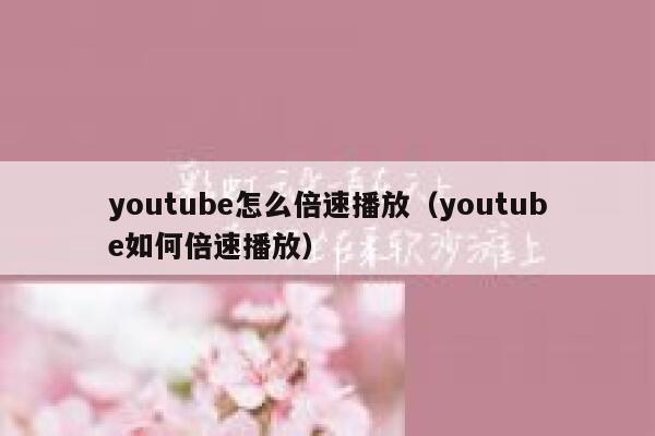 youtube怎么倍速播放（youtube如何倍速播放） 第1张