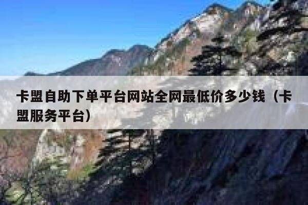 卡盟自助下单平台网站全网最低价多少钱（卡盟服务平台） 第1张