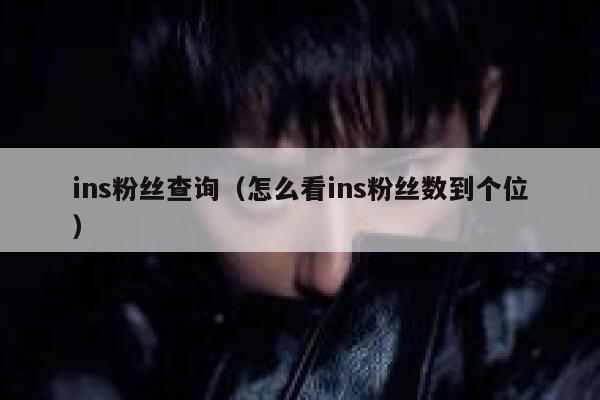 ins粉丝查询（怎么看ins粉丝数到个位） 第1张
