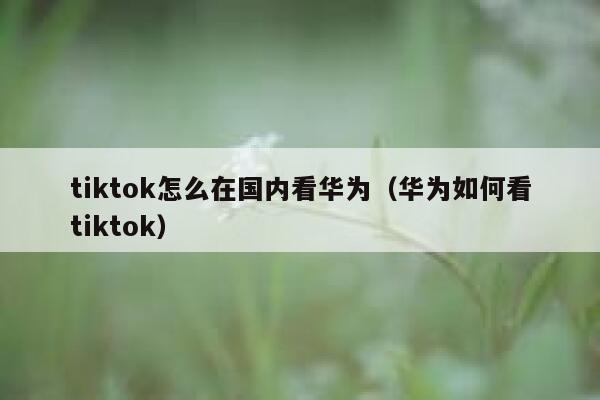 tiktok怎么在国内看华为（华为如何看tiktok） 第1张
