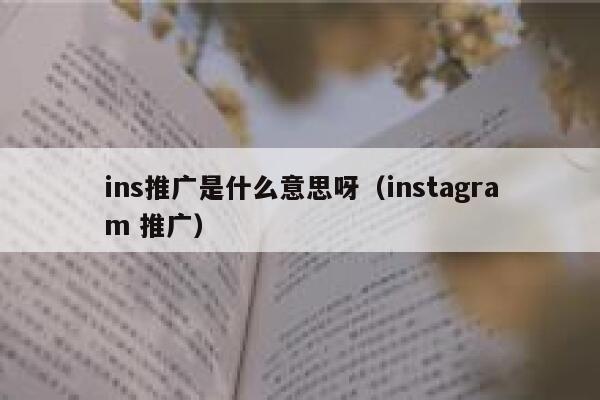 ins推广是什么意思呀（instagram 推广） 第1张