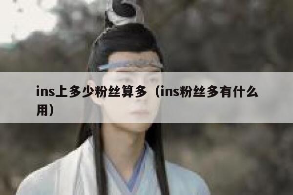 ins上多少粉丝算多（ins粉丝多有什么用） 第1张