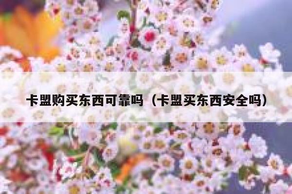 卡盟购买东西可靠吗（卡盟买东西安全吗） 第1张