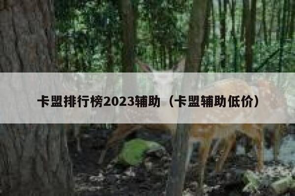 卡盟排行榜2023辅助（卡盟辅助低价） 第1张