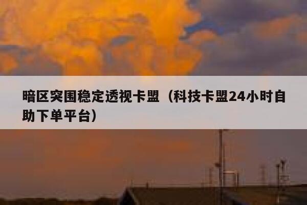 暗区突围稳定透视卡盟（科技卡盟24小时自助下单平台） 第1张