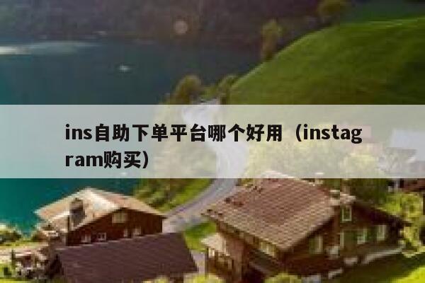 ins自助下单平台哪个好用（instagram购买） 第1张