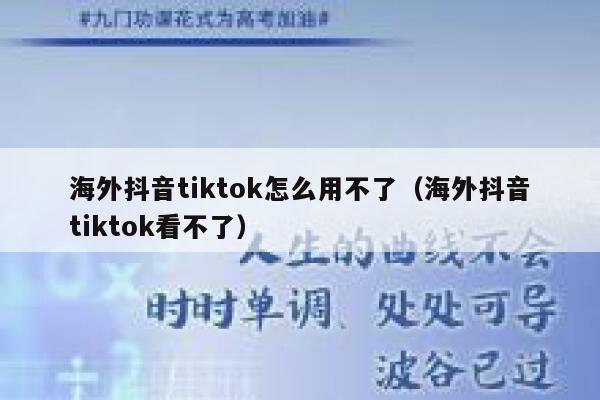 海外抖音tiktok怎么用不了（海外抖音tiktok看不了） 第1张