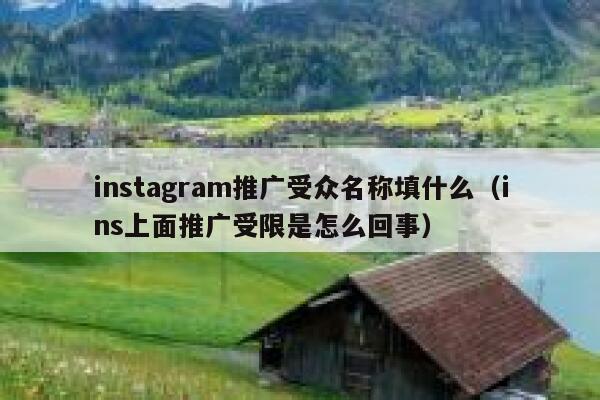 instagram推广受众名称填什么（ins上面推广受限是怎么回事） 第1张