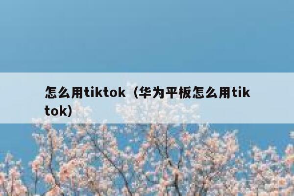 怎么用tiktok（华为平板怎么用tiktok） 第1张