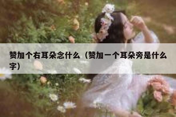 赞加个右耳朵念什么（赞加一个耳朵旁是什么字） 第1张