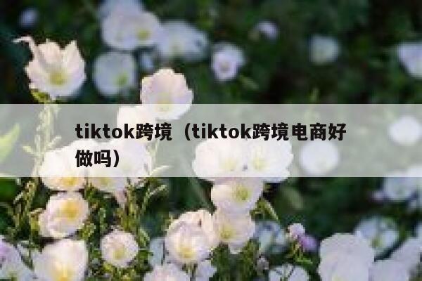 tiktok跨境（tiktok跨境电商好做吗） 第1张