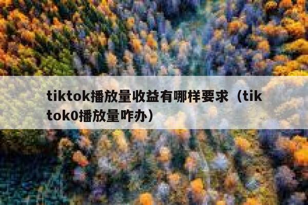 tiktok播放量收益有哪样要求（tiktok0播放量咋办） 第1张