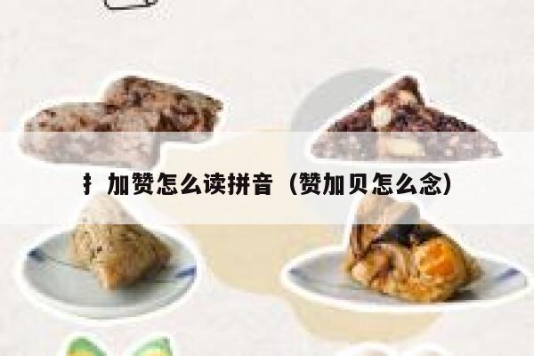 扌加赞怎么读拼音（赞加贝怎么念） 第1张