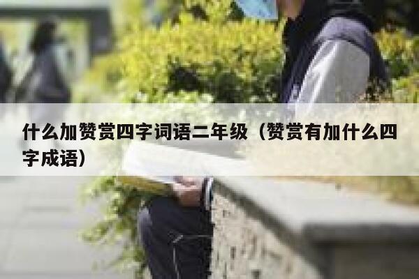 什么加赞赏四字词语二年级（赞赏有加什么四字成语） 第1张