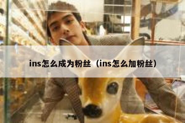 ins怎么成为粉丝（ins怎么加粉丝） 第1张