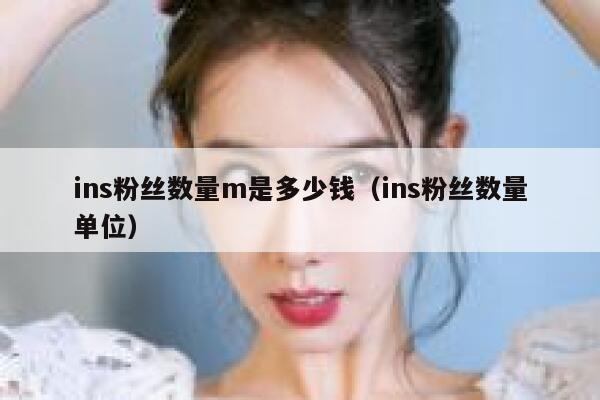 ins粉丝数量m是多少钱（ins粉丝数量单位） 第1张