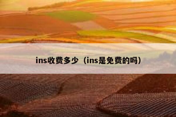 ins收费多少（ins是免费的吗） 第1张