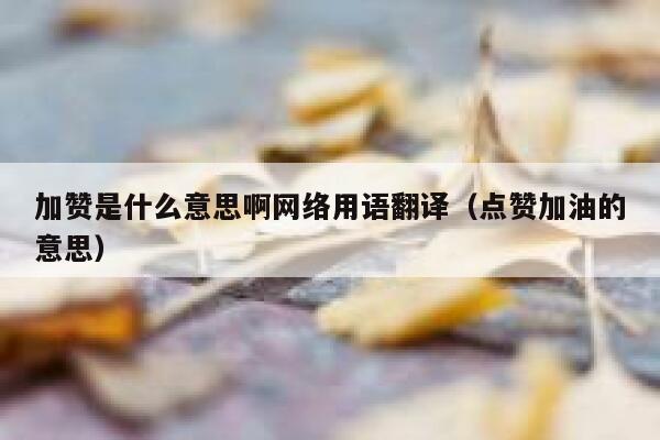 加赞是什么意思啊网络用语翻译（点赞加油的意思） 第1张
