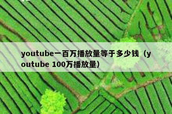 youtube一百万播放量等于多少钱（youtube 100万播放量） 第1张