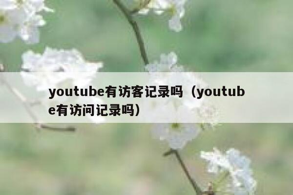 youtube有访客记录吗（youtube有访问记录吗） 第1张
