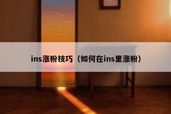 ins涨粉技巧（如何在ins里涨粉） 第1张