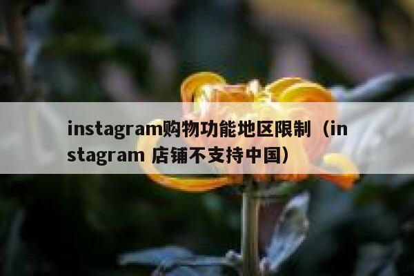 instagram购物功能地区限制（instagram 店铺不支持中国） 第1张