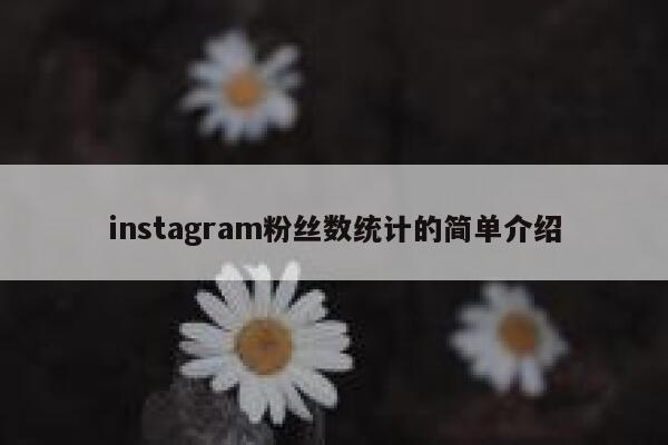 instagram粉丝数统计的简单介绍 第1张