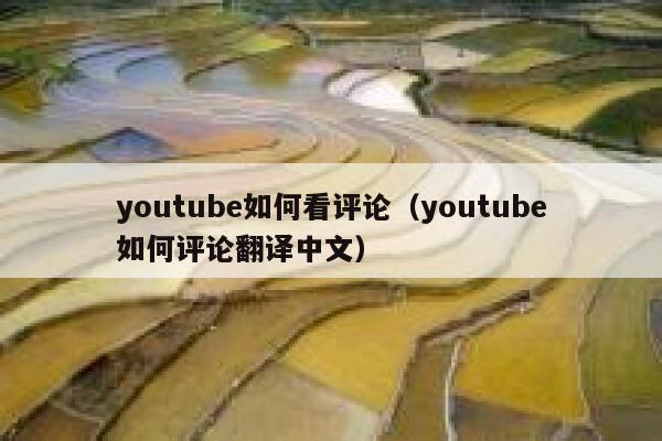 youtube如何看评论（youtube如何评论翻译中文） 第1张