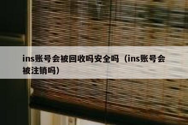 ins账号会被回收吗安全吗（ins账号会被注销吗） 第1张