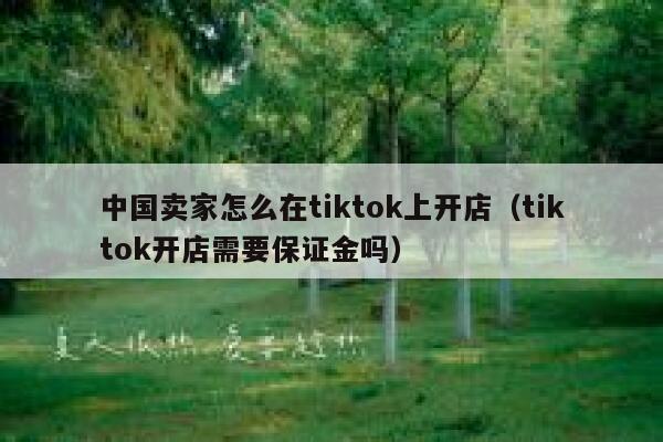 中国卖家怎么在tiktok上开店（tiktok开店需要保证金吗） 第1张