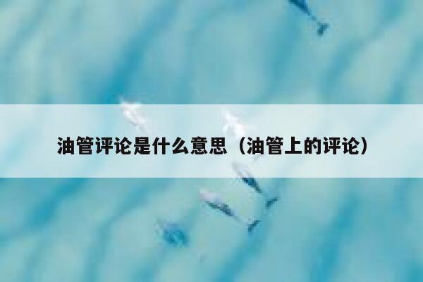 油管评论是什么意思（油管上的评论） 第1张