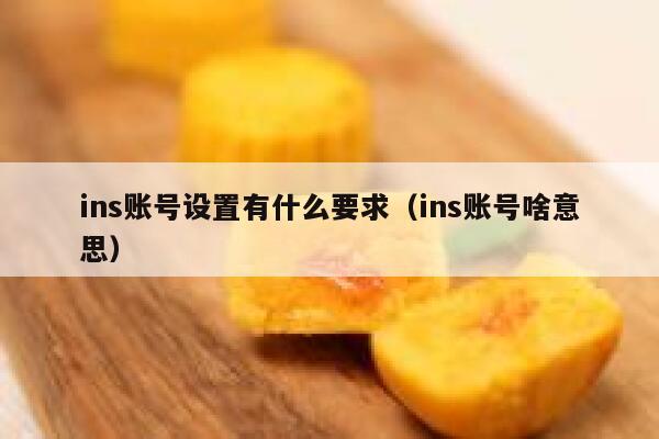 ins账号设置有什么要求（ins账号啥意思） 第1张