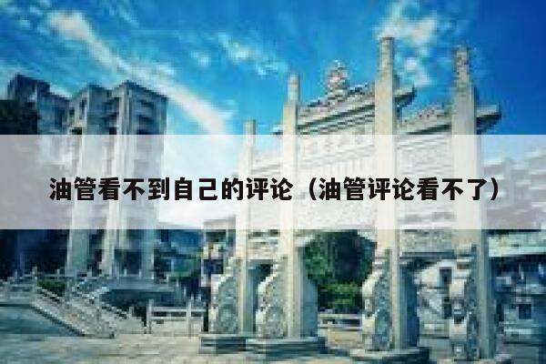 油管看不到自己的评论（油管评论看不了） 第1张