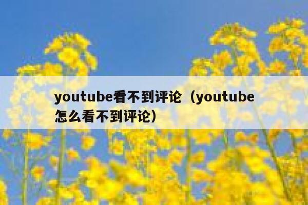 youtube看不到评论（youtube怎么看不到评论） 第1张