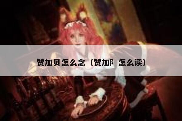 赞加贝怎么念（赞加阝怎么读） 第1张