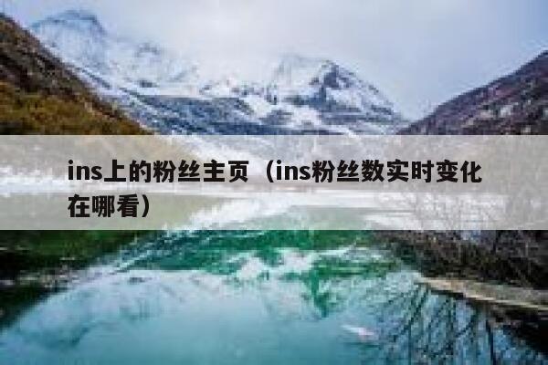 ins上的粉丝主页（ins粉丝数实时变化在哪看） 第1张